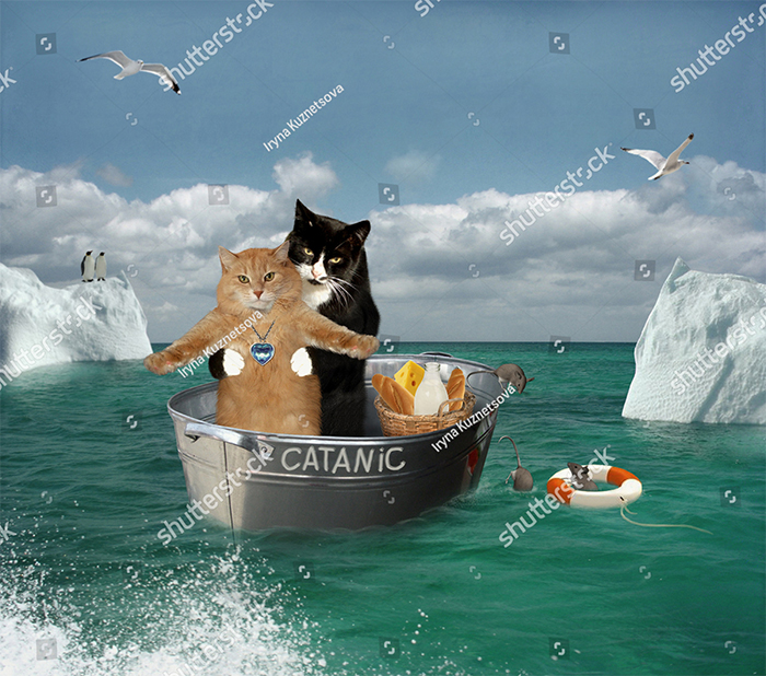 07c55098808d49878fc2b81394d5753e.png