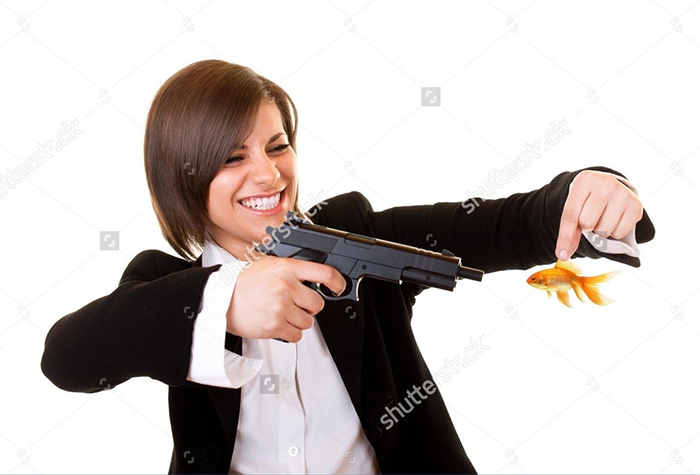 14c6a8dbc7cd4f7b9d1696b92e8a816d.png
