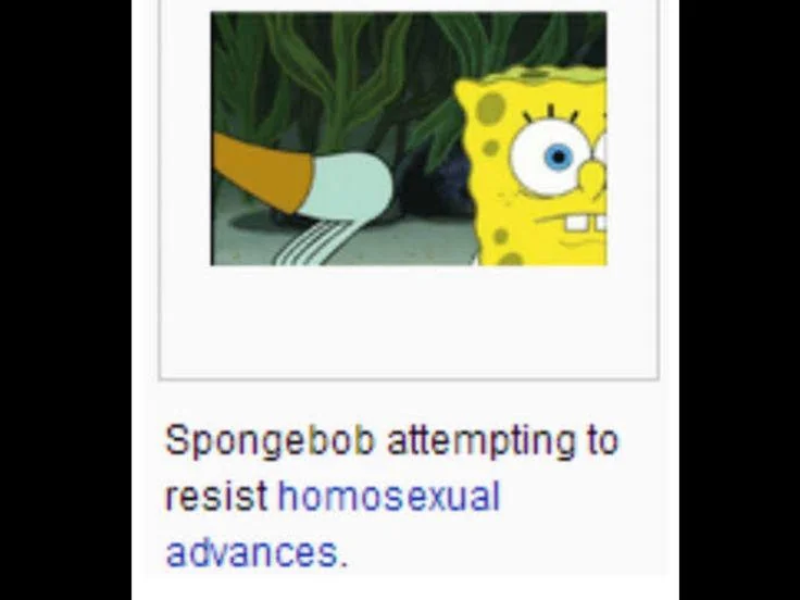 246224cff65640bcac71fc1cacb3315c.png