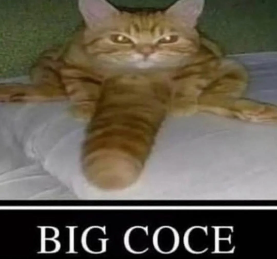32ac90c616024ced8fdd3936d78da5cd.png