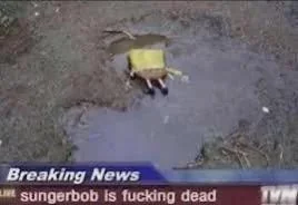 3535430b524f431e8c836b798f4a842b.png