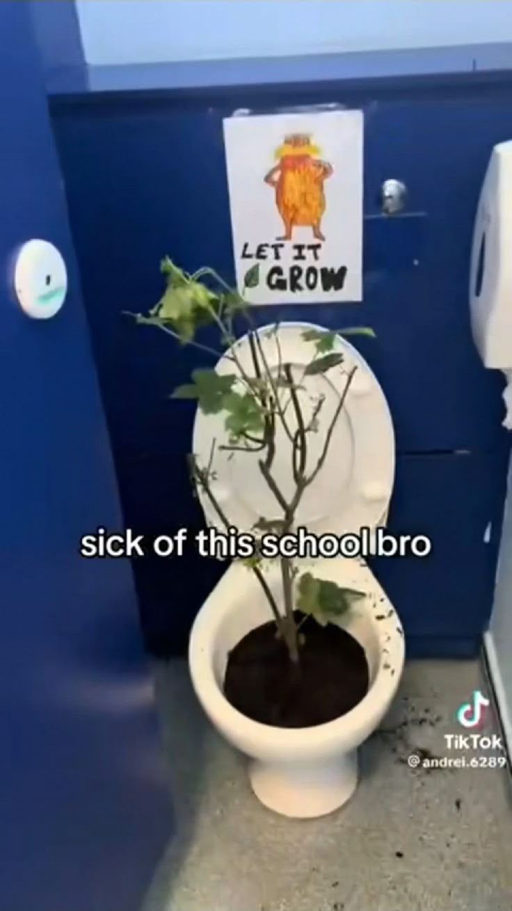 4f4ab3e3bbfd43b7aae493797d84dccf.png
