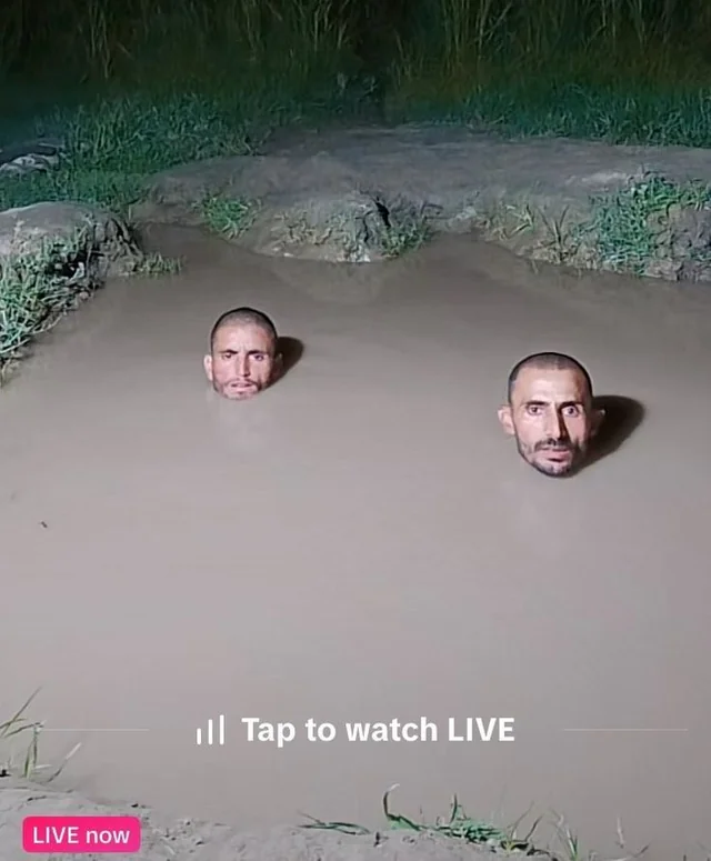 51c2dc75956d42f5aeb0b9c9c1107fd0.png