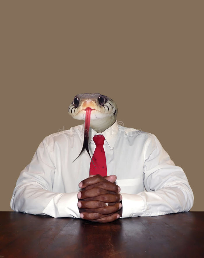 62de797cff1148cd8e46603872c73d86.png