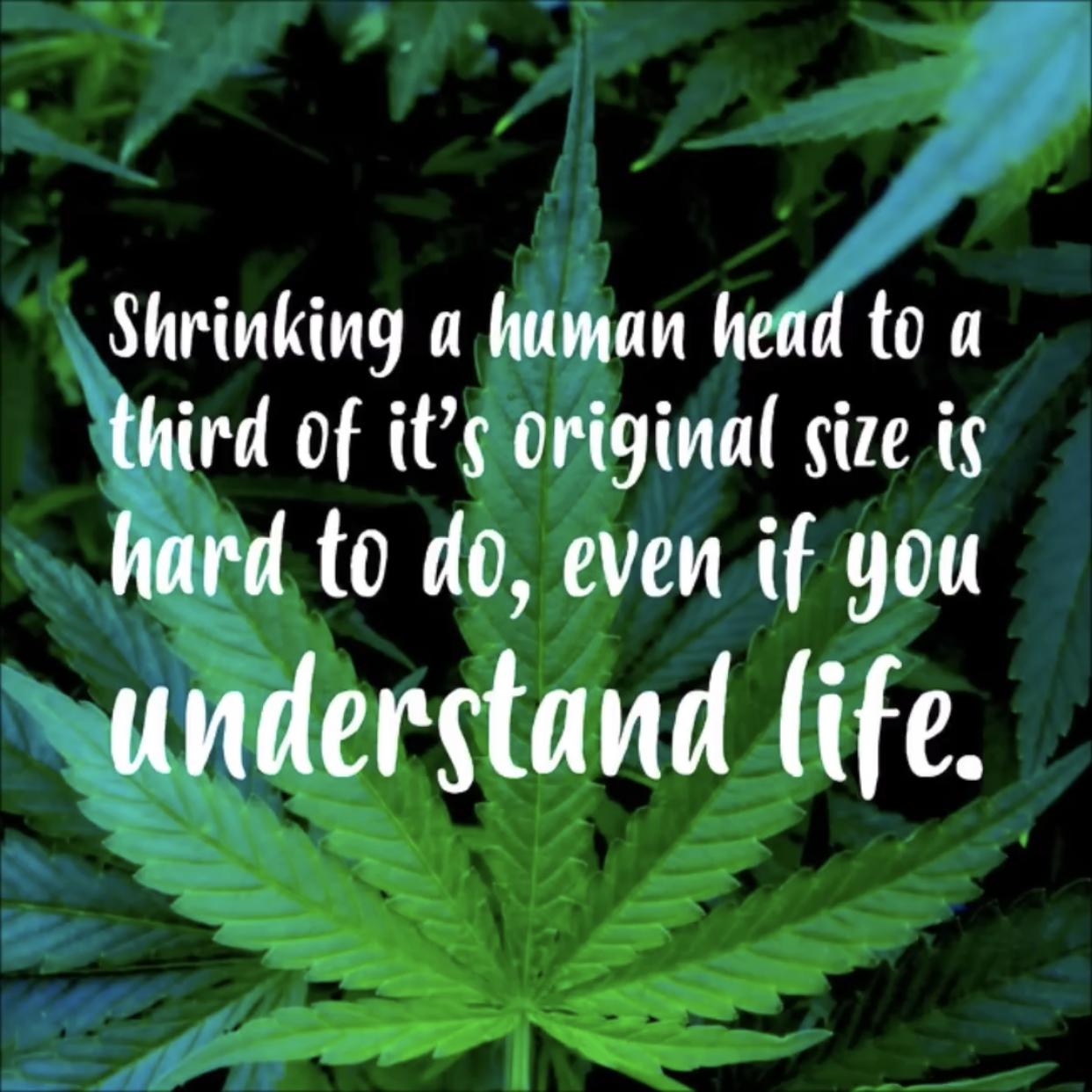 6bc7317cbd96436f901fb51b7af33676.jpeg