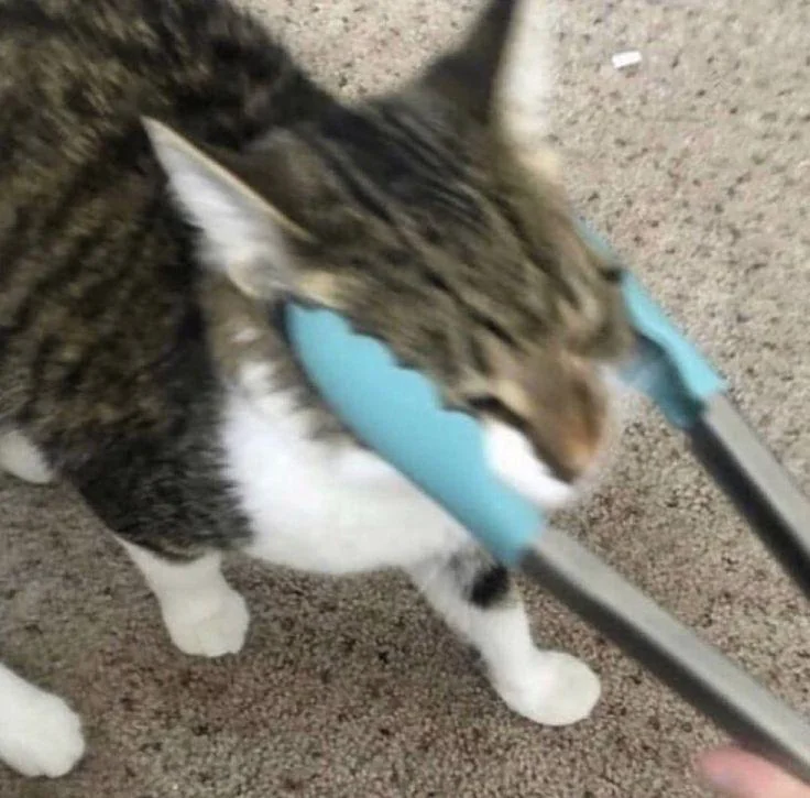 7d78d8cb7ad64d72b0c0fe12751d64a6.png