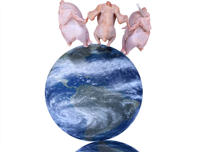88bb59b90b3648eda952bb6a87d78e59.png