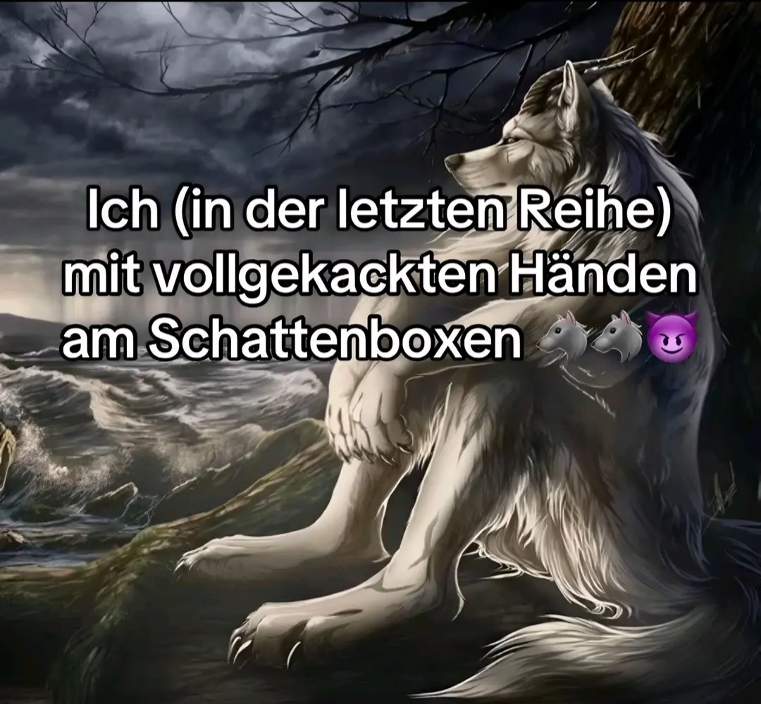 9d70a758698f41709554ad3f1176af85.png