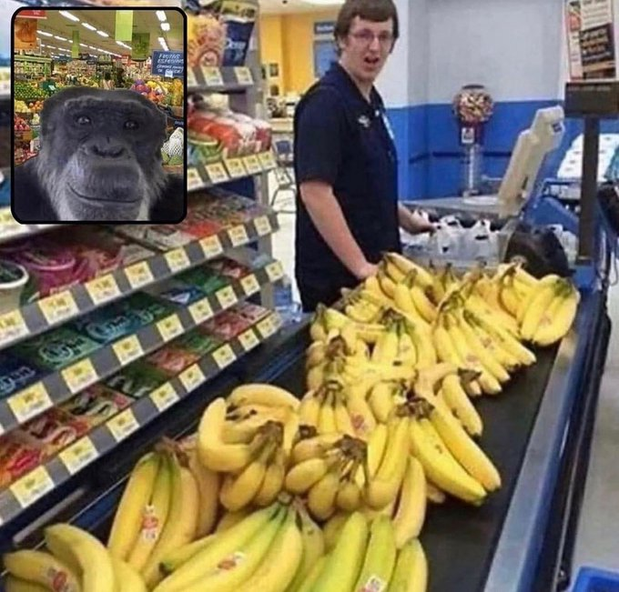 a20b24cd33f24fb68187b247a270831c.png