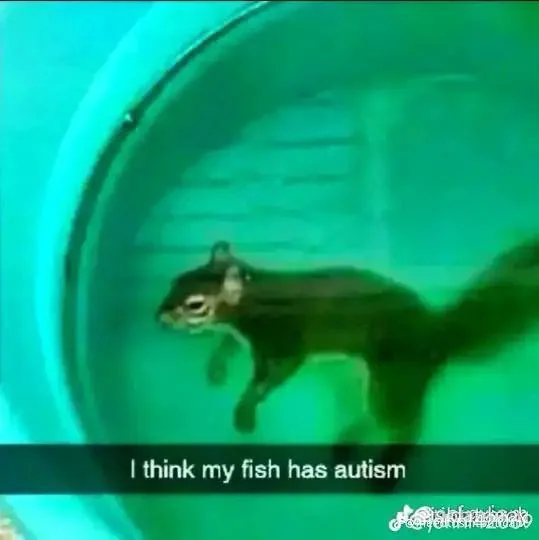 e3d4b38b24984f789a8ce433e4b50a4a.png