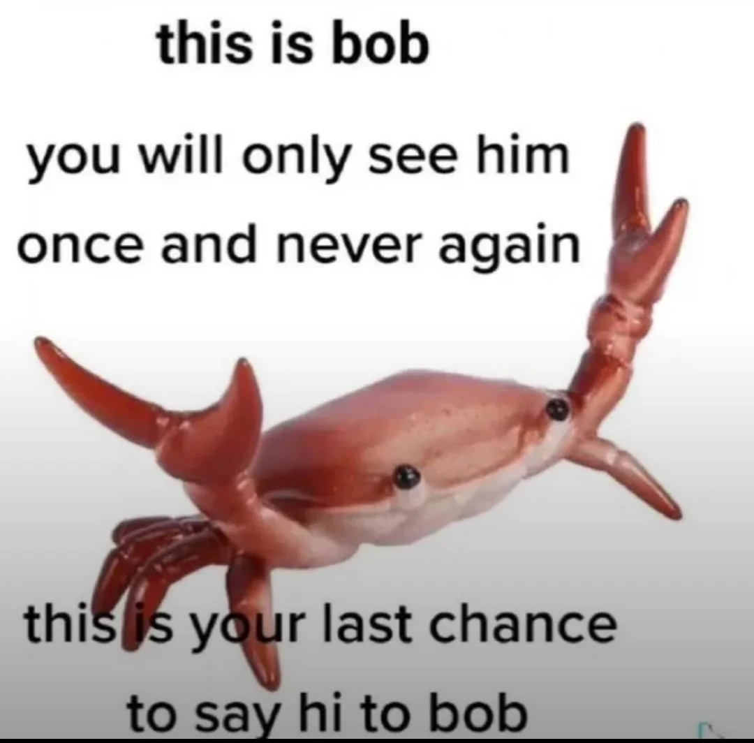 e58893cd07814d73ae189d3581a21df0.png