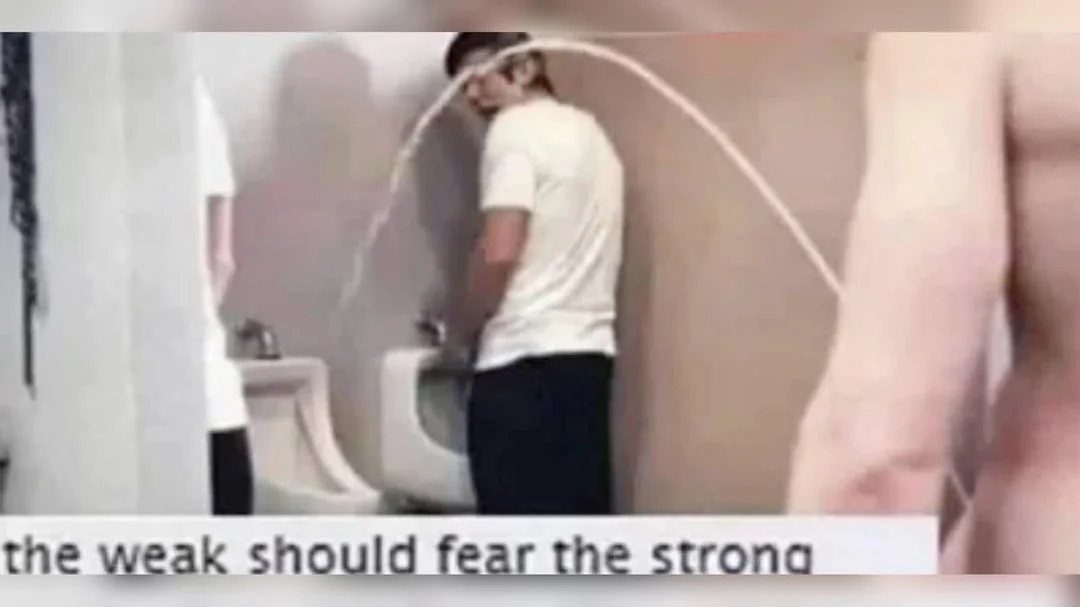 ee136f17968045959c88e8230e9ed1d4.png