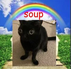 fa96c276c29246b99d79cd573e551177.png